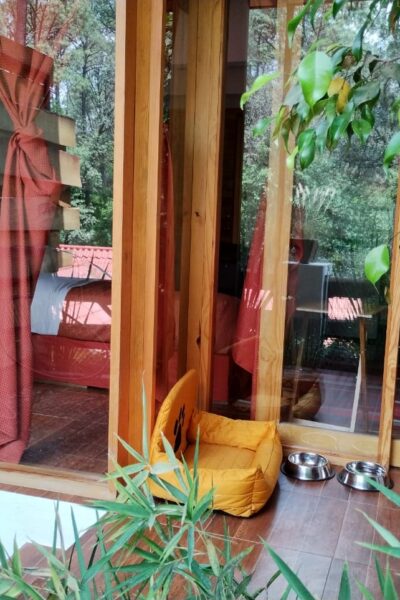 encino-house-hotel-pet-friendly- (4)