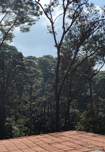 foto-encino-house-techo-de-teja-espectacular