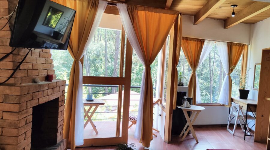 15 Suite Junior deluxe