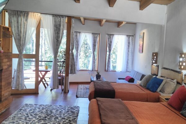 16 Suite con vistas al jardín