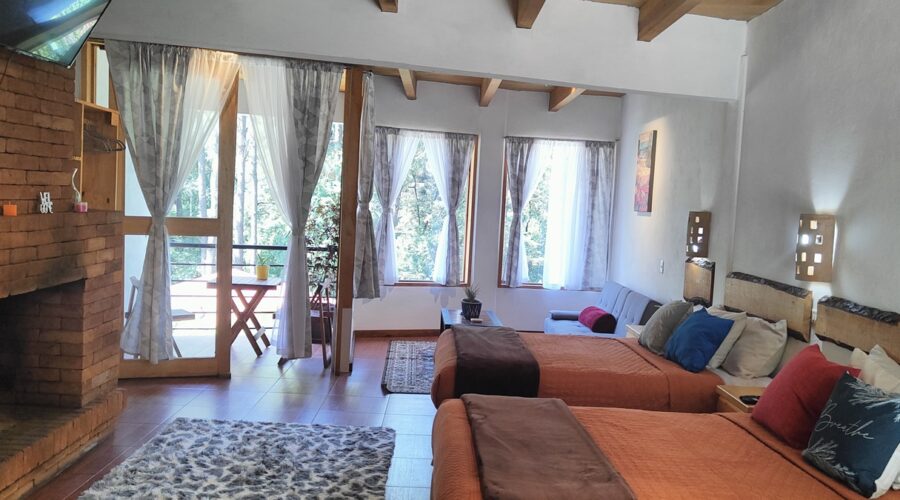 16 Suite con vistas al jardín